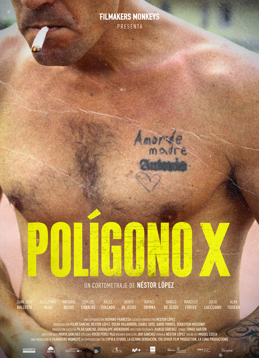 Polígono X